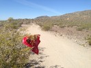 photo thumbnail #2