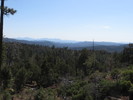 photo thumbnail #10