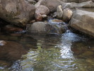 photo thumbnail #13