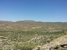 photo thumbnail #4
