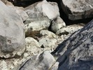 photo thumbnail #12