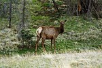 photo thumbnail #9