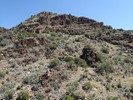 photo thumbnail #7