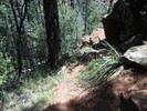 photo thumbnail #11