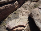 photo thumbnail #5