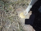 photo thumbnail #9