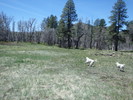 photo thumbnail #11