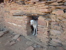 photo thumbnail #15