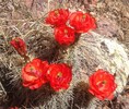 photo thumbnail #3