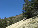 photo thumbnail #11