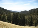 photo thumbnail #12