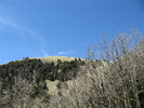 photo thumbnail #13