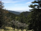 photo thumbnail #15