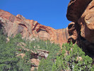 photo thumbnail #5