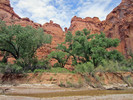photo thumbnail #12