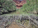 photo thumbnail #13