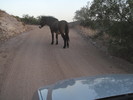 photo thumbnail #2