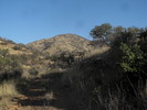 photo thumbnail #2