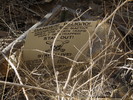 photo thumbnail #12