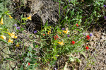 photo thumbnail #3