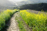 photo thumbnail #14