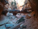 photo thumbnail #8
