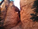 photo thumbnail #10