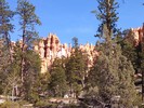 photo thumbnail #12