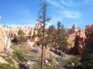 photo thumbnail #15