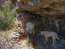 photo thumbnail #4