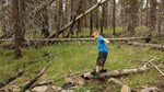 photo thumbnail #3