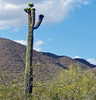 photo thumbnail #2