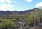 photo thumbnail #4