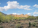 photo thumbnail #5