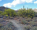 photo thumbnail #6