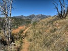 photo thumbnail #10