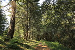 photo thumbnail #8