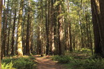 photo thumbnail #11