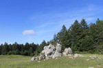 photo thumbnail #13