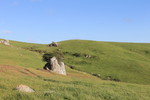 photo thumbnail #15