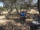 photo thumbnail #9