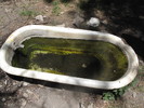 photo thumbnail #12