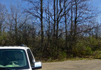 photo thumbnail #1