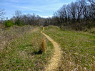 photo thumbnail #7