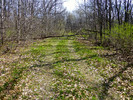 photo thumbnail #8