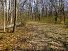 photo thumbnail #9