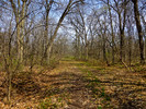 photo thumbnail #10
