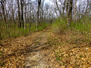 photo thumbnail #12