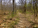 photo thumbnail #13