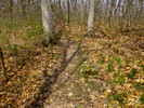 photo thumbnail #14